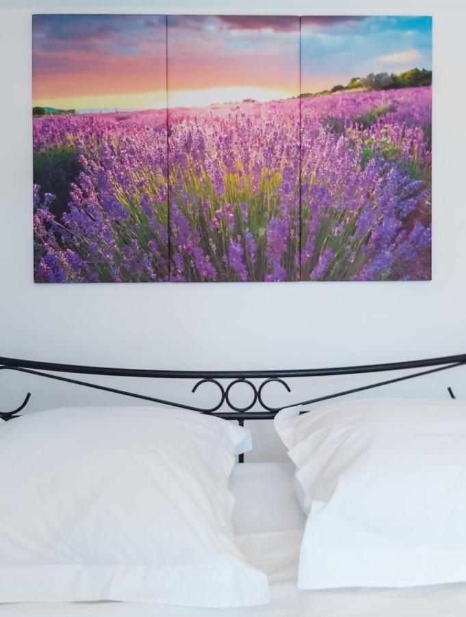 Etoilevacances Chambres D Hotes Campagne En Lavande Saint-Cézaire-sur-Siagne Exteriér fotografie